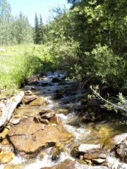 lime_creek