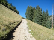rough_trail