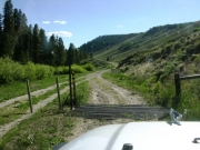 cattle_guard