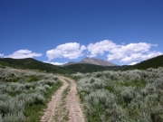 early_trail