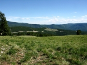 marshall_pass_trail