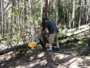 mike_clearing_downed_trees