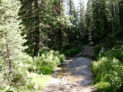 water_crossing
