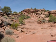 climbing