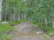 big_mud