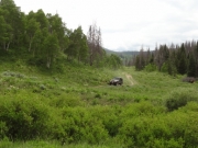 bill_on_the_trail