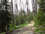 early_mud