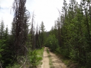 little-used_trail