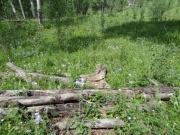 logs