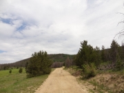 mellow_trail