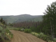 mountain_view