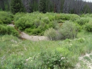 muddy_creek