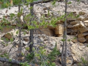 odd_rocks