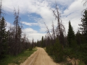 open_trail