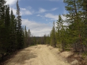 rutted