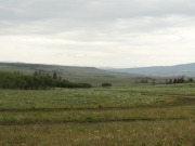 see_for_miles