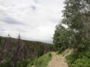 shelf_road