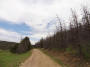start_of_the_trail