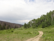 through_a_meadow