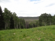 valley