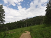 wandering_trail