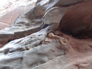 cool_rocks