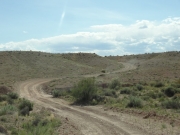 curved_road