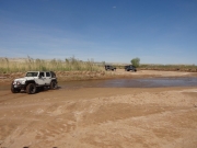 frank_through_the_muddy_creek