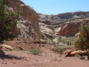 into_bell_canyon