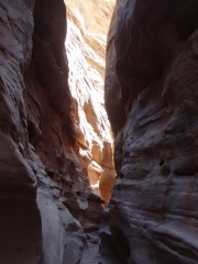 light_ahead