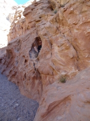 matt_hiding_part_1