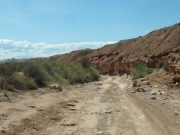 mellow_trail