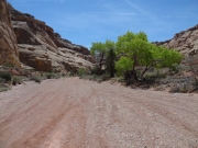 top_of_bell_canyon