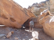 under_a_big_rock