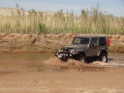 walt_through_the_muddy_creek_part_2