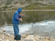 good_catch