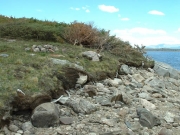 loch_lomond_part_7