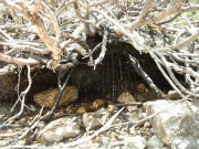 snow_melting