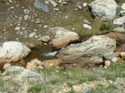view_from_the_trail
