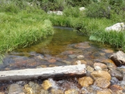 clear_water