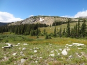 timberline