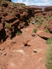 wayne_climbing_part_1