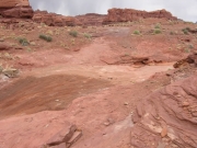 start_of_the_trail