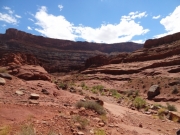 into_the_canyon