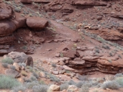 ledges