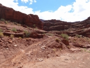 loose_trail