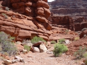 rocks