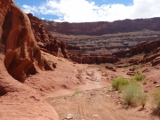 wash