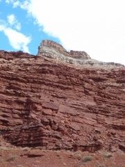 white_rim