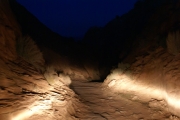 trail_in_the_dark